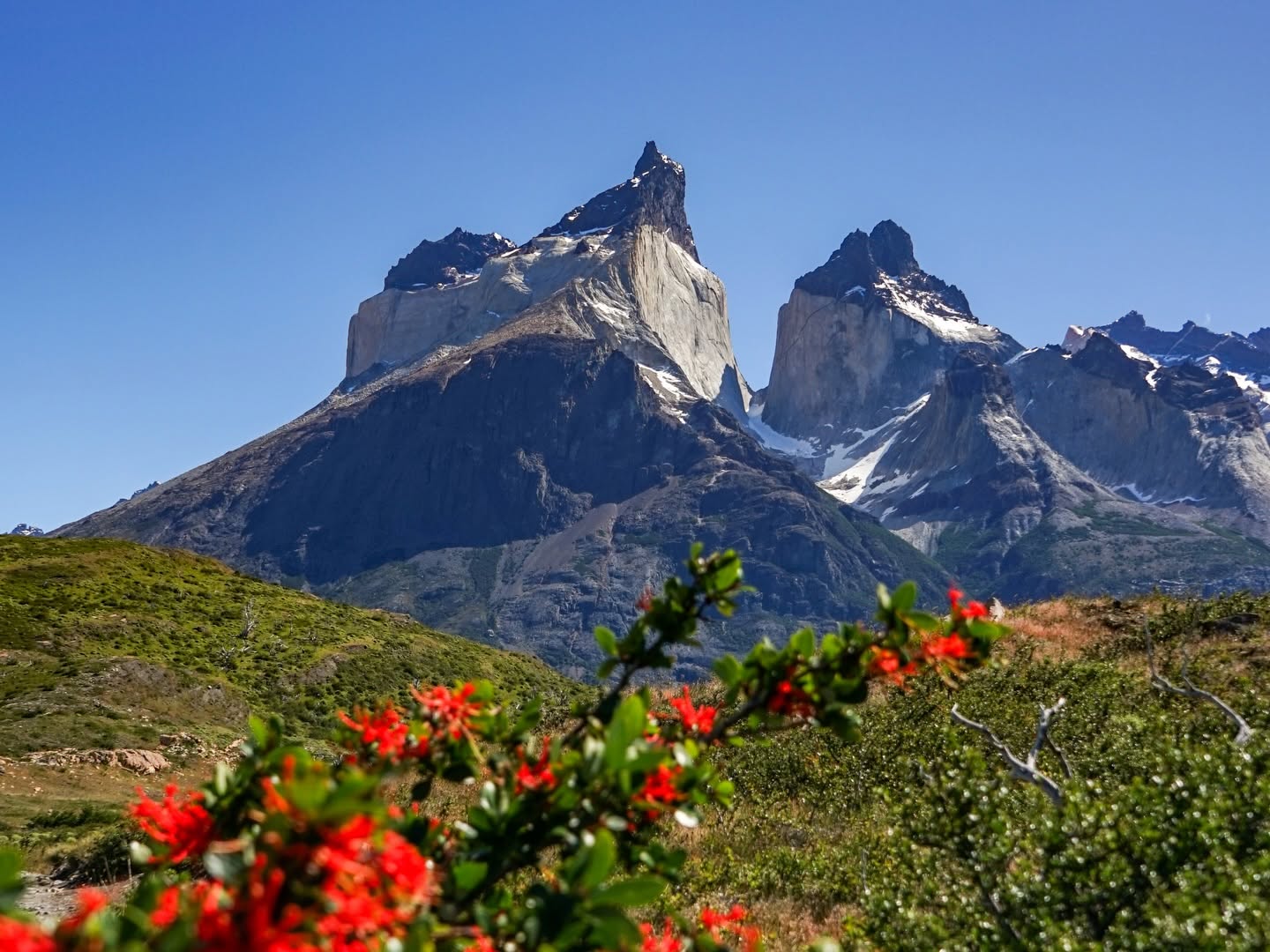 Full Day Torres del Paine: Saída Especial Laguna Amarga - Fotografía 2 | WOW Patagonia